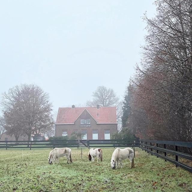 Hoeve De Snippert Groenlo Bagian luar foto